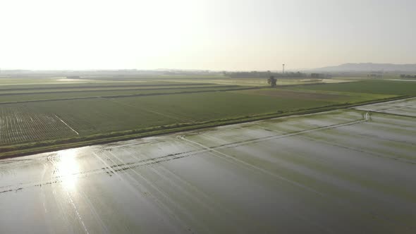Aerial: flying over rice paddies, flooded cultivated fields farmland rural italian countryside alt