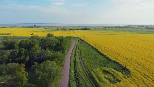 Road Next to Yellow Field alt
