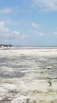 Vertical Video Kitesurfing Near the Shore of Zanzibar Tanzania alt