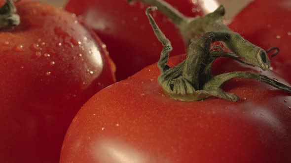 Closeup of organic tomatoes