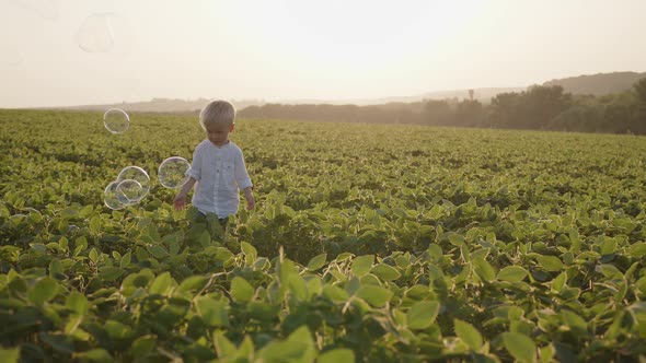 Child a Handsome Boy Plays in a Field in the Summer He Catches Blowing Soap Bubbles alt