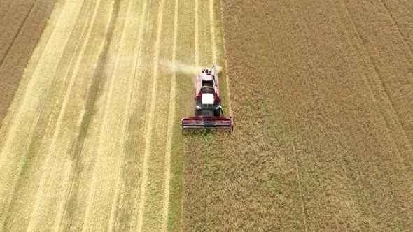 Combine Harvester Collecting Ripe Wheat In Agricultural Field At Summer Day alt