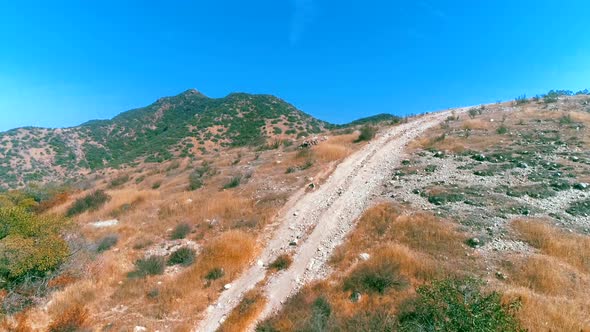 Top View Drone Footage Flying Over High Peak in National Reserve Park. Mountains. Aeria  alt