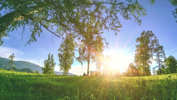 Mountain Meadow Time-lapse at the Summer or Autumn Time. Wild Nature and Rural Field. Motorised alt