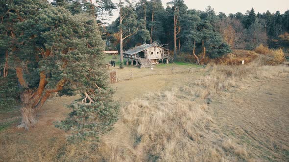 Old Wooden Shack Near Coniferous Forest