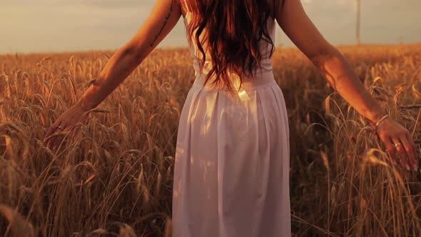 Unrecognizable Woman Touching Wheat Ears.