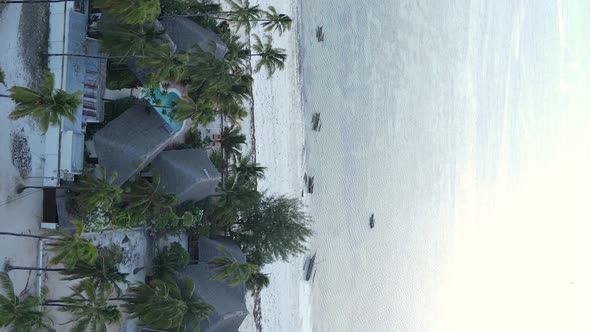 Zanzibar Tanzania  Vertical Video of the Ocean Near the Coast Slow Motion alt