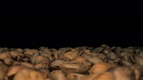 Close up of seeds of coffee. Fragrant coffee beans.