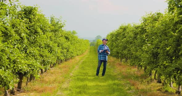 Male Researcher Looking at Trees While Writing on Clipboard alt