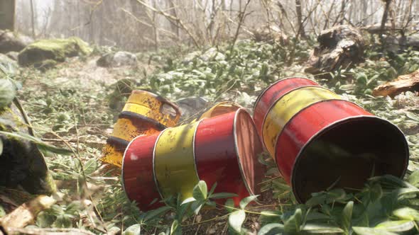 Toxic Barrels In Green Forest