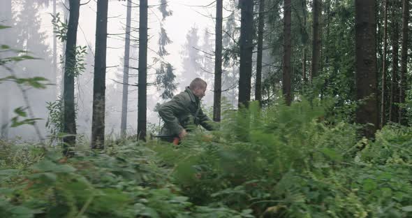Millitary Action in Dense Forest Running After Terrorist Concept of War and Terrorism alt