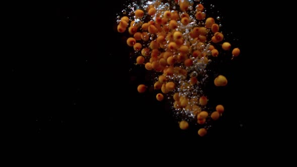 Sea Buckthorn and Lemon Fall Into the Water alt