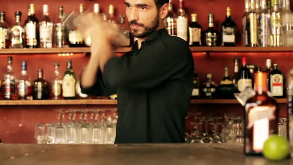 Bartender shaking cocktail alt
