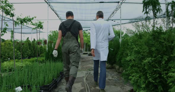 Gardeners Walking in Nursery Garden alt
