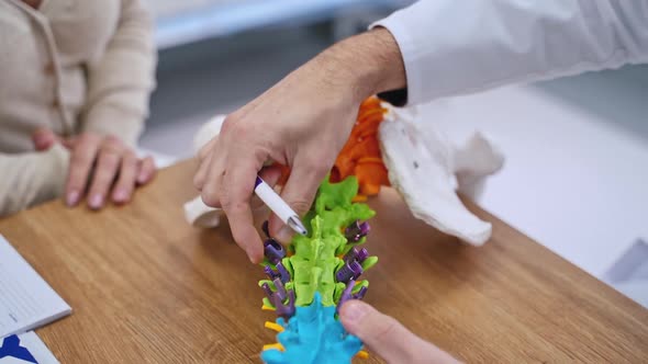 Doctor pointing at skeleton model. Doctor shows the problem areas on the model  alt