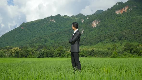Asian Businessman On Rice Fields alt
