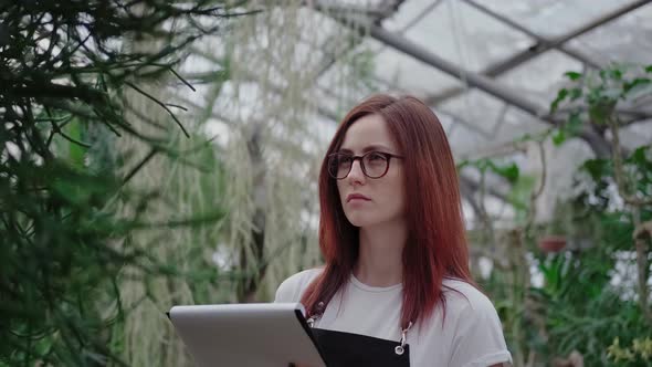 Woman Is Busy Checking Greenery. Young Botanic Woman with Redhair.