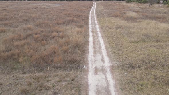 Ukraine Kyiv Region  Road Through an Empty Field alt