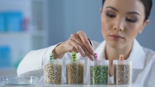 Asian Lab Worker Examining Peas Grains and Making Report on Tablet, Control alt