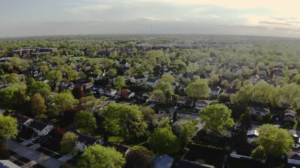 Aerial Drone View of American Suburb at Summer Time alt
