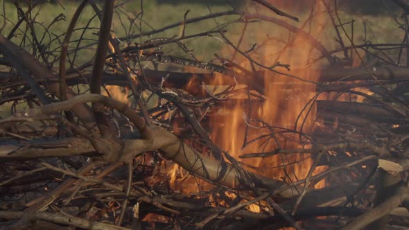 Fire, Wildfire, Burning Branches in the Smoke and Flames alt