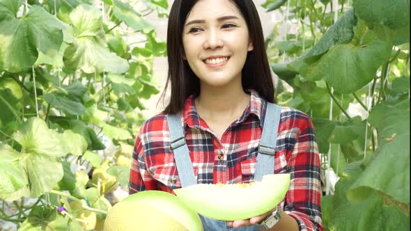 Young Asian Female Farmer Having a Slice of Melon and Smell the Taste in Watermelon Farm Field alt
