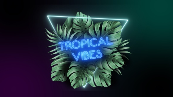 Tropical Plants And Neon Shape - Alpha Channel-