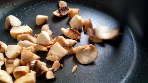 Mushrooms are mixed in a pan. Roasting mushrooms. Homemade food. Preparing breakfast or lunch