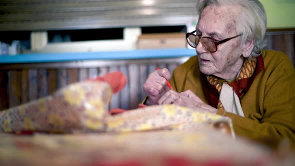 Elderly Woman Practising Design and Painting on a Piece of Paper at Home alt