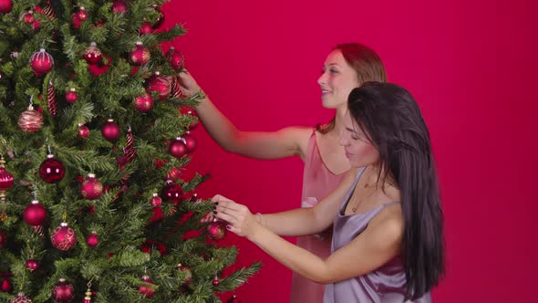 Two Young Lesbian Women in Elegant Dresses Hugs Near Xmas Tree, Holiday Gifts