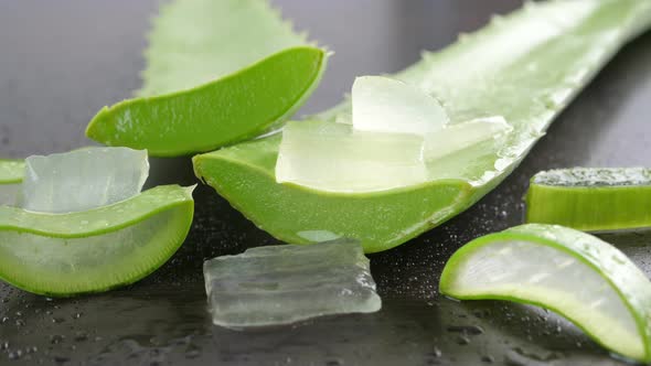 Aloe Vera leaves. Aloe Vera gel is very useful herbal medicine for skin care alt