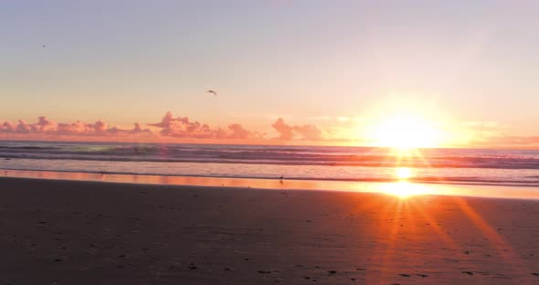 Sunset And Seagulls