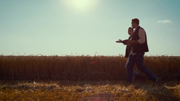 Agronomists Team Walking Wheat Field on Sunny Day alt