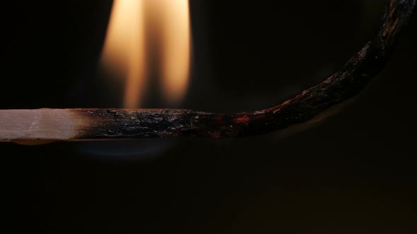 Burning Match on Black Background in Macro alt