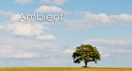 Ambient