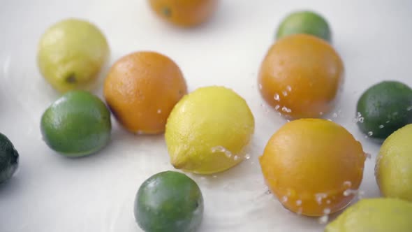 SLOMO of Citrus in Water on White Backdrop alt