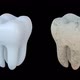 Tooth - VideoHive Item for Sale