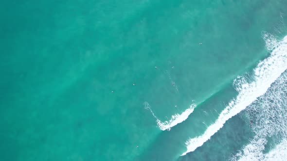 Top down of waves break on tropical sea Surfers with surfing boards Aerial drone view 4-k alt