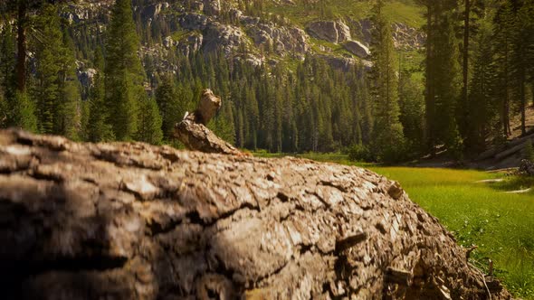 Sotcher Lake in the Ansel Adams Wilderness in California USA alt