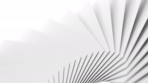 Clean White Background alt