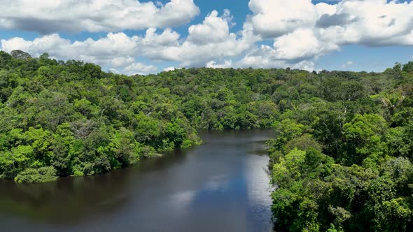 Stunning landscape of Amazon Forest at Amazonas State Brazil. alt
