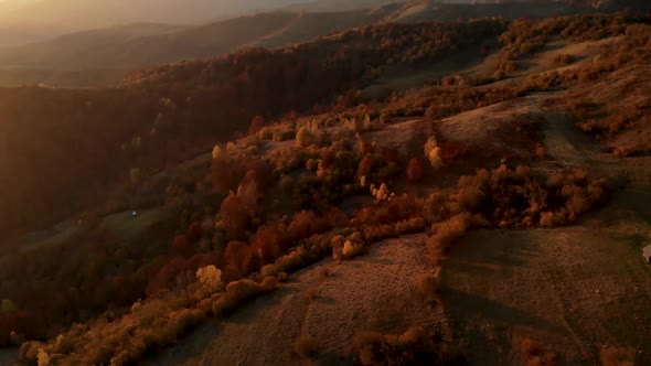 Aerial Slider Reveal Shot of Autumn Mountain Valley with Golden Trees
