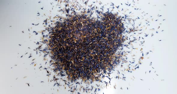 Blueberry Seeds, centaurea cyanus, Falling on White Background, Slow motion 4K alt