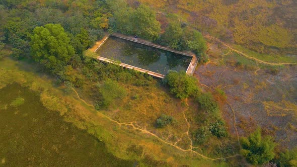 Old swimming pool abandoned and surrounded by nature in India. Drone shot. alt