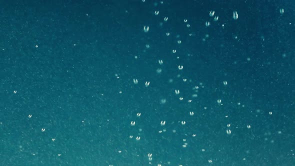 Abstract Underwater Background alt