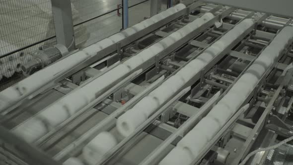 A Working Conveyor in a Paper Mill. Technology. Factory. Kyiv. Ukraine. alt