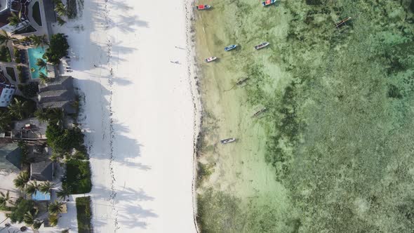 Boats in the Ocean Near the Coast of Zanzibar Tanzania alt