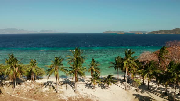 Torpical Island with White Sandy Beach, Top View alt