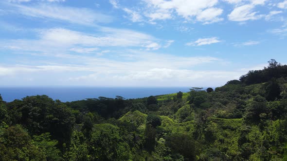 Tropical Island Landscape on Maui, Hawaii - Aerial alt