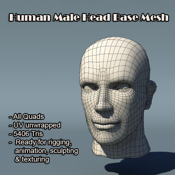Human Male Head - 3Docean 5737448